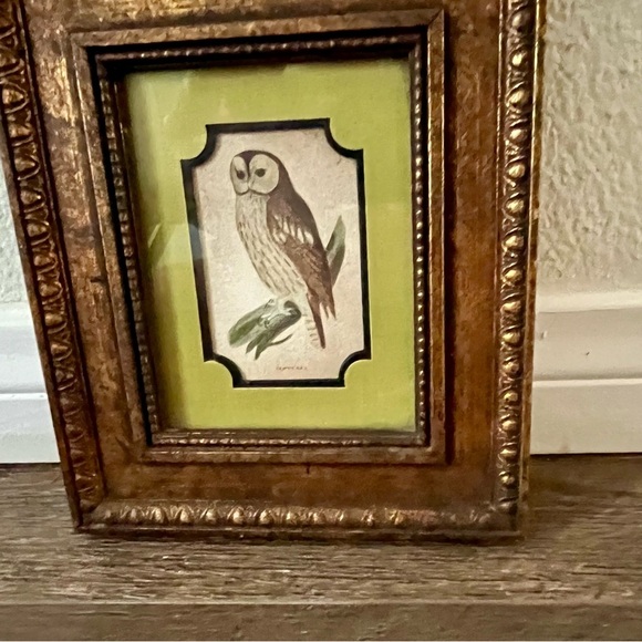 Vintage Gold Framed Owl Art for Bird Lovers - Picture 9 of 10